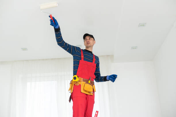 Professional Dry wall and painting in Liberty, UT